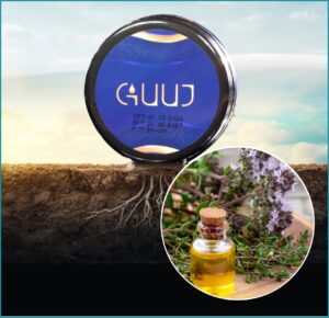 Read more about the article Kekik yağının faydaları nelerdir?