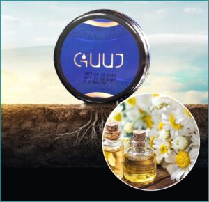 Read more about the article Papatya yağının faydaları nelerdir?