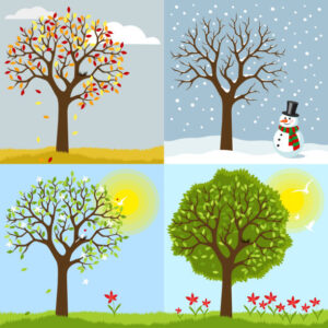 Read more about the article Leke serumu hangi mevsim kullanılır?