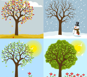 Leke serumu hangi mevsim kullanılır?